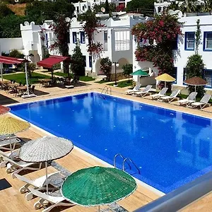 book here